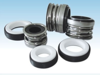 Торцевое уплотнение Burgmann BT-PNT