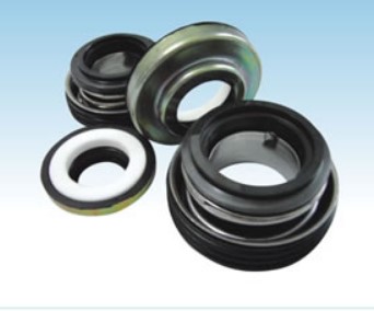 Торцевое уплотнение BSFTK